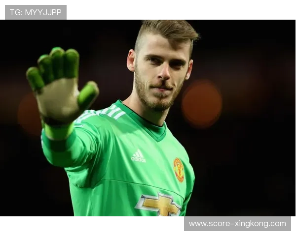 世界顶级足球守门员的传奇故事与成就盘点