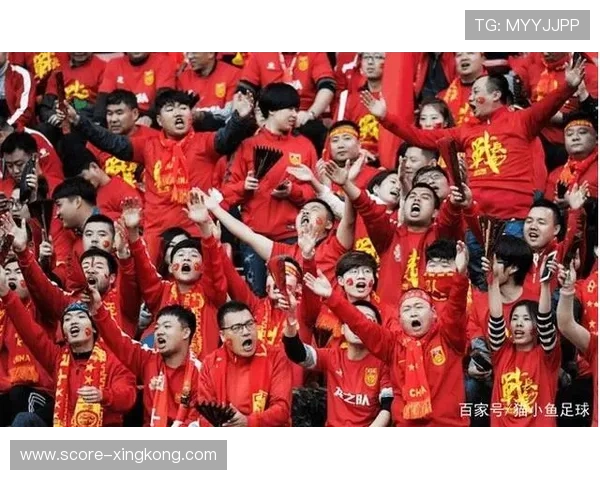 中国足球球星出场顺序全览与历史数据统计分析